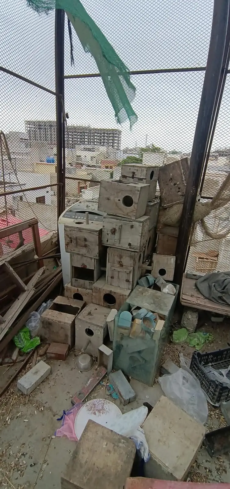 Cages avilable for sale — photo 11