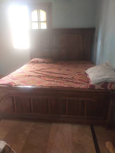 bed showcash