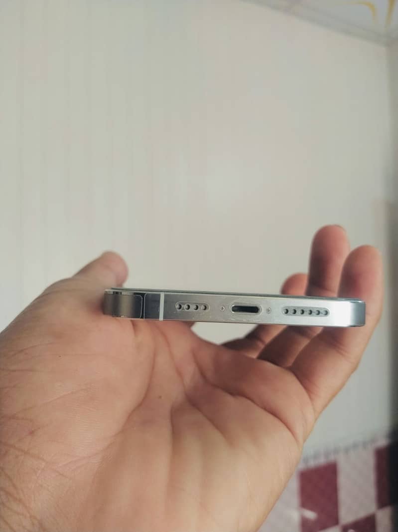 Apple iPhone 13 pro max 1