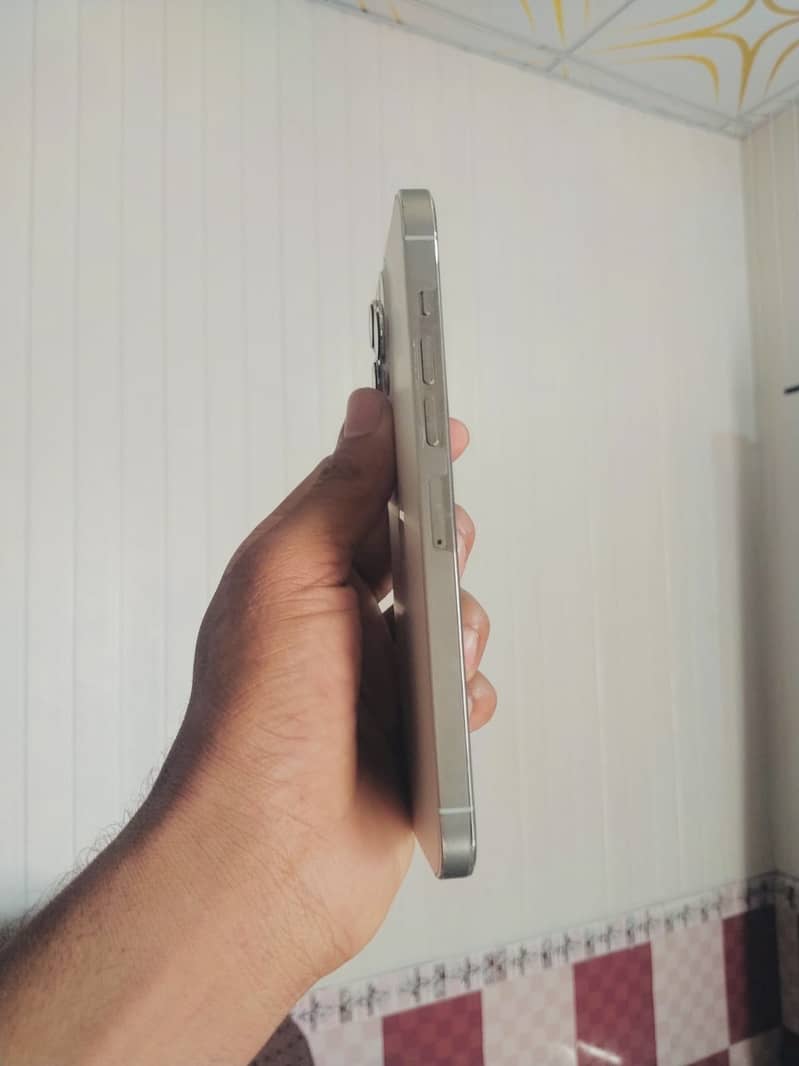 Apple iPhone 13 pro max 2