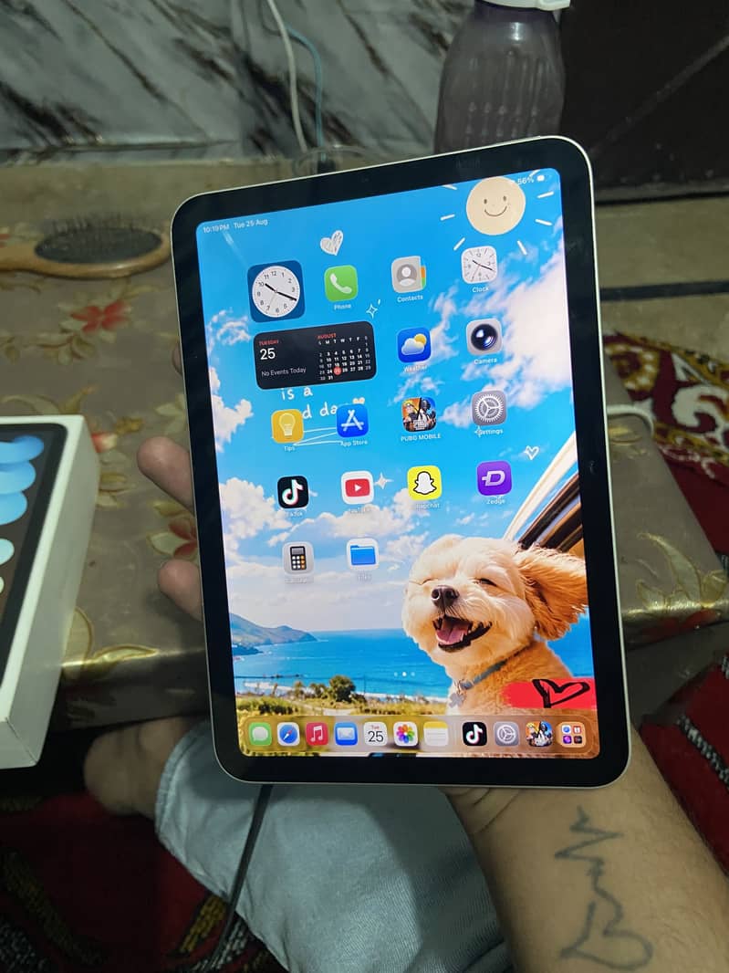 Ipad mini 6 2
