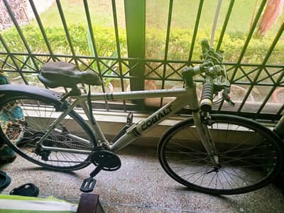 Cobalt Road Cycle