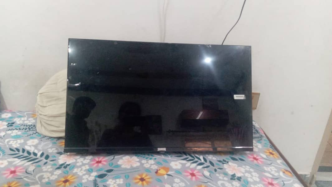 Champion Android LED 1