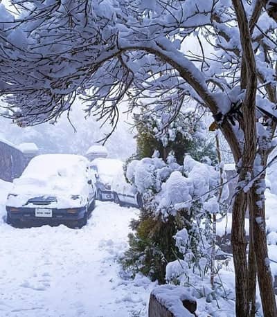Commercial Plot For Sale In Murree