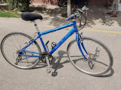 sport cycle