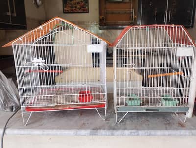 parrot cage