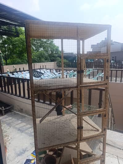 Cage Urgent For Sale