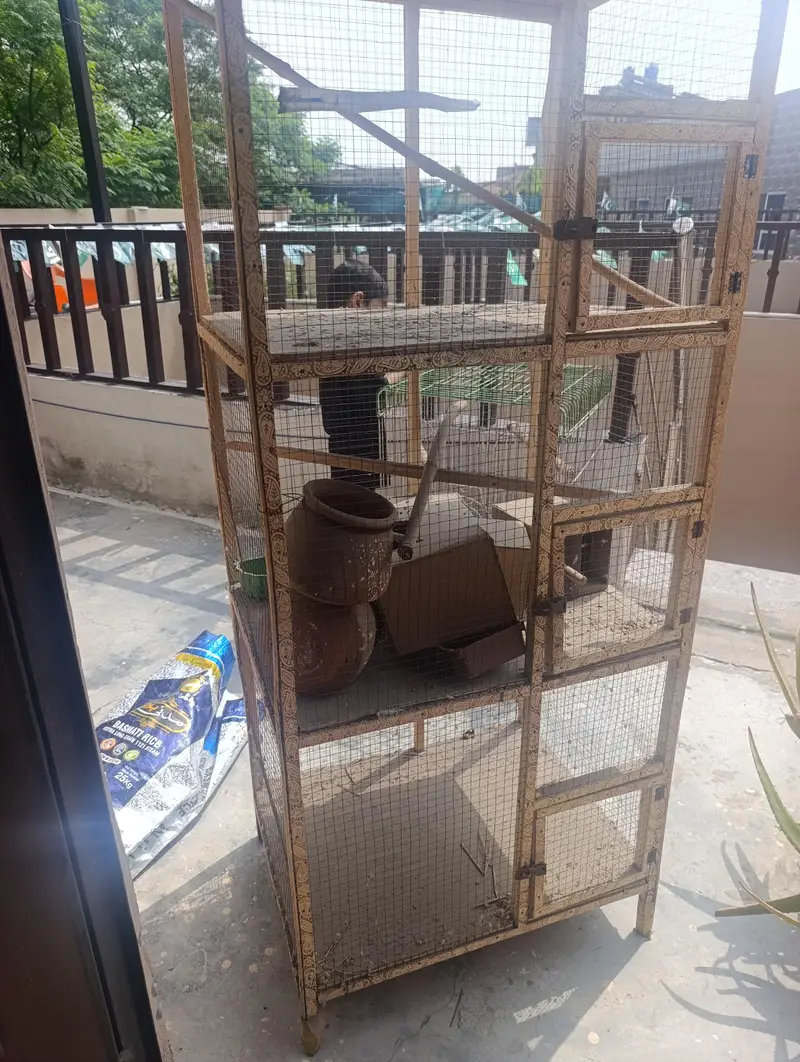 Cage Urgent For Sale — photo 2