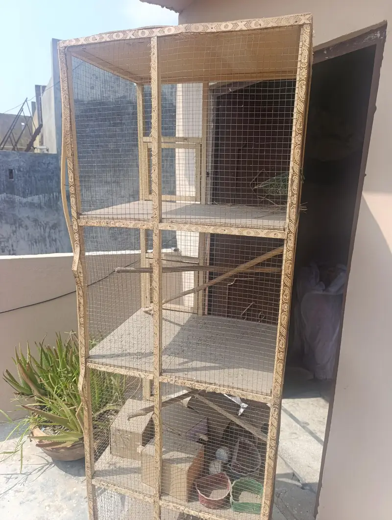 Cage Urgent For Sale — photo 3