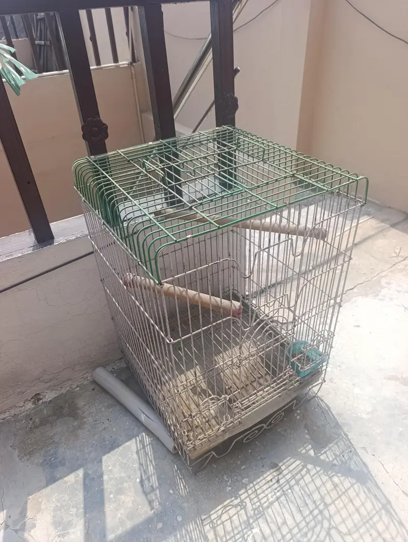 Cage Urgent For Sale — photo 4