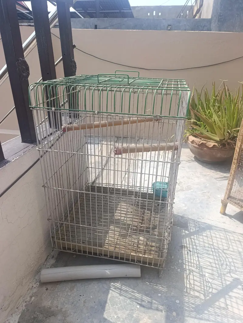 Cage Urgent For Sale — photo 5