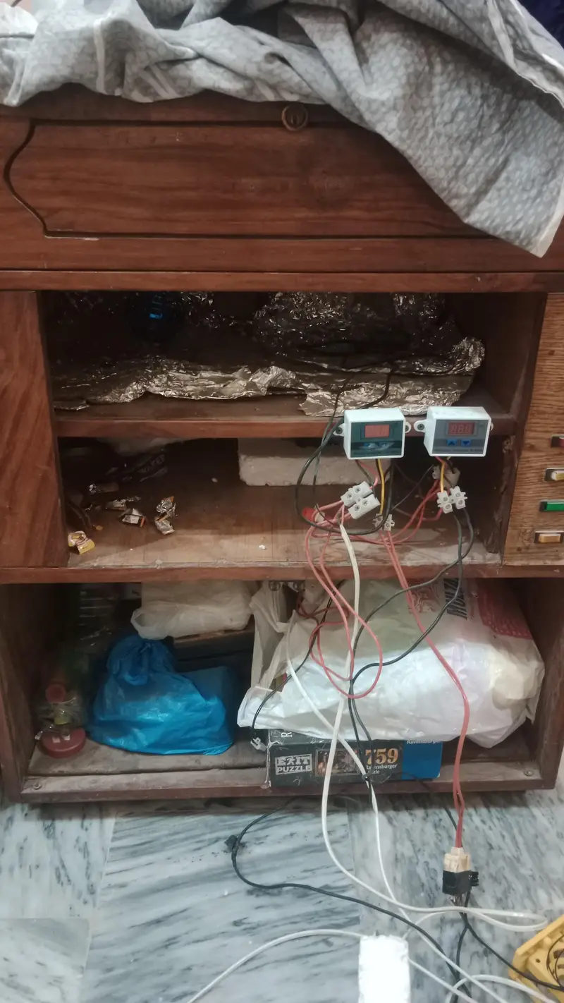 incubator devices for sale — photo 3