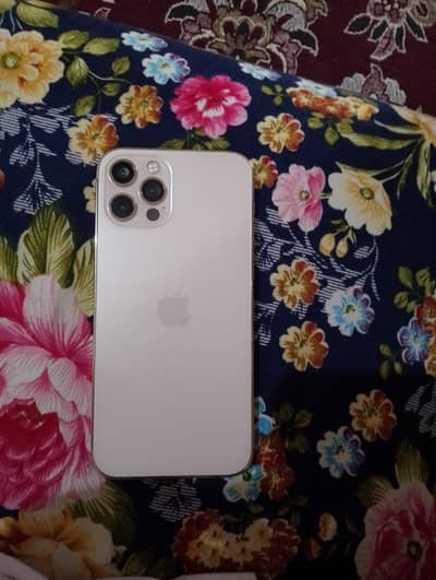 Apple iPhone 12 Pro