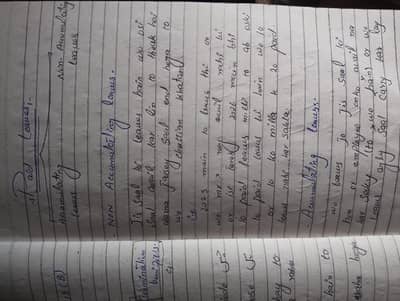 content writer