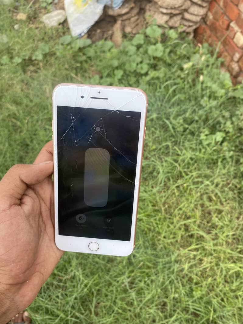 Apple iPhone 8 Plus 1