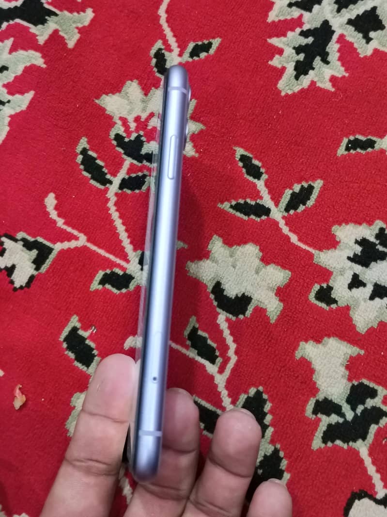 Apple iPhone 11 2