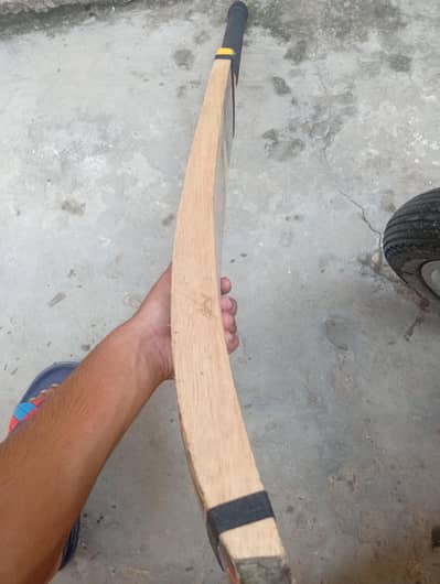 Tapeball bat WS
