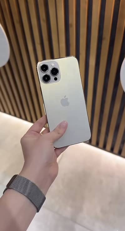iPhone 13 Pro Max fu 512gb