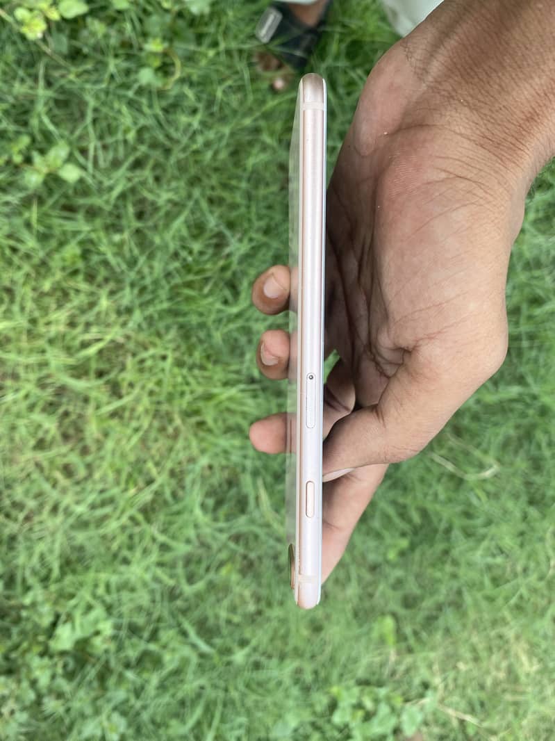 Apple iPhone 8 Plus 6