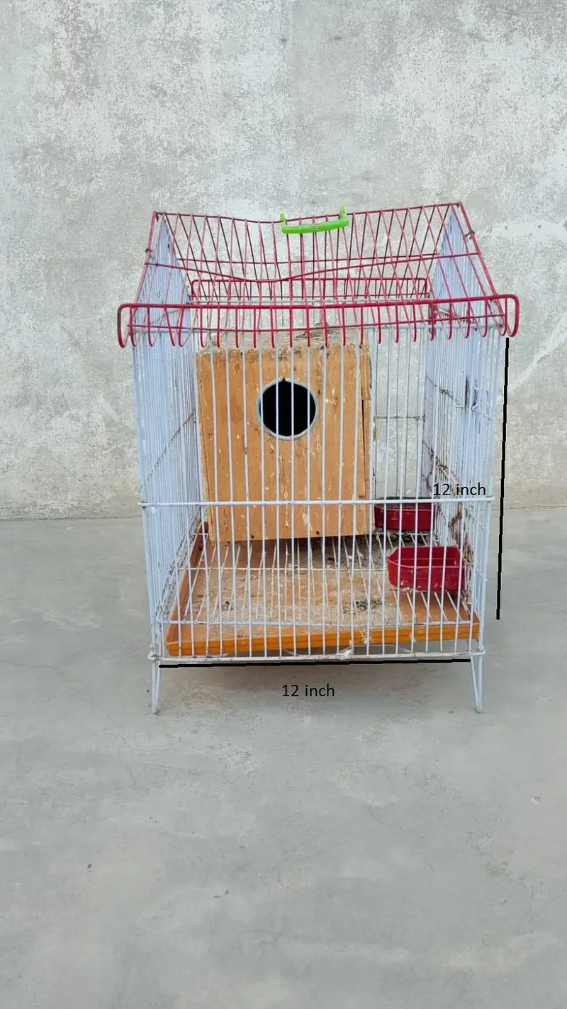 Cage For birds — photo 2