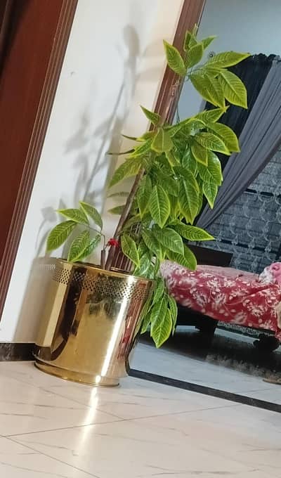 pot with artificial plant