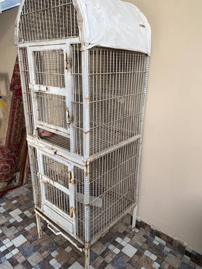 bird cage