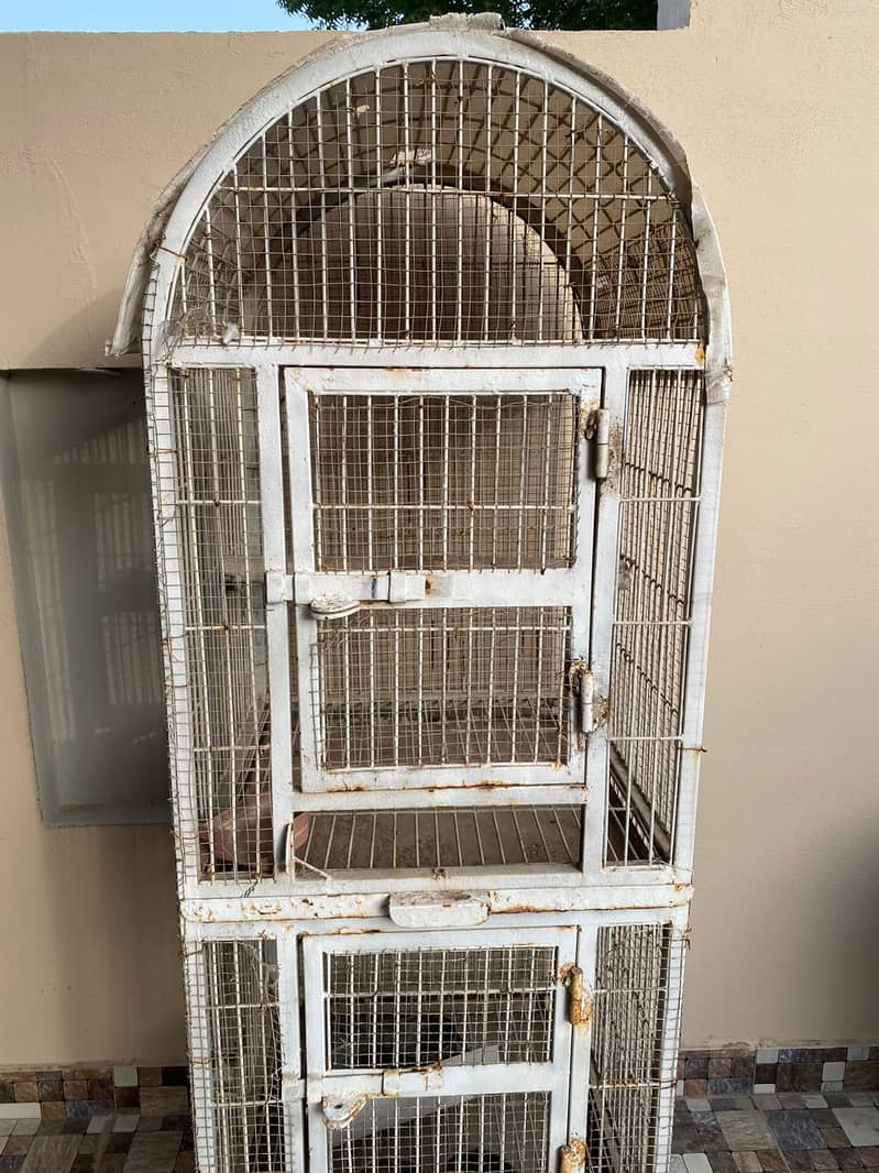 bird cage 1