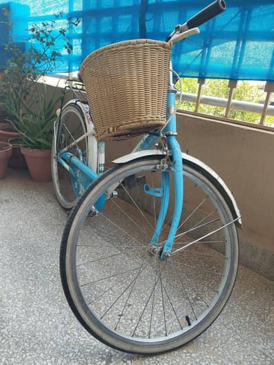 Bridgstone Ecopal Kids Cycle 22 inch