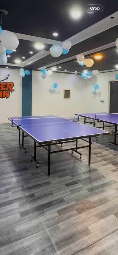 Table Tennis Table
