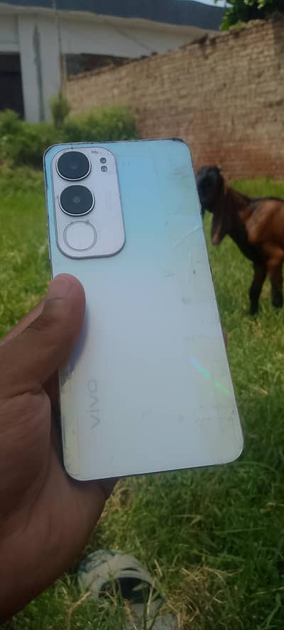 Vivo Y19s
