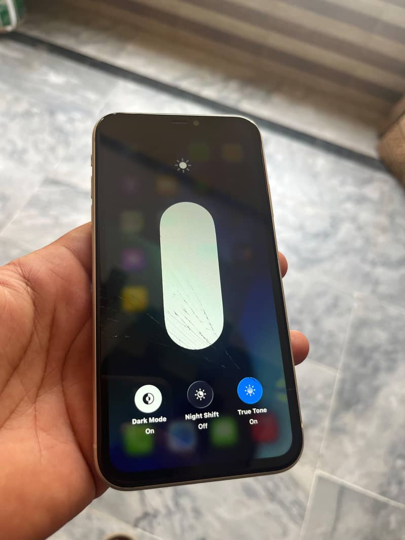 Apple iPhone 11 2
