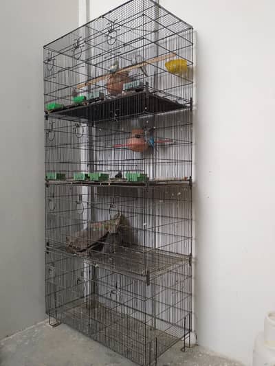 12 Portion Folding Cage