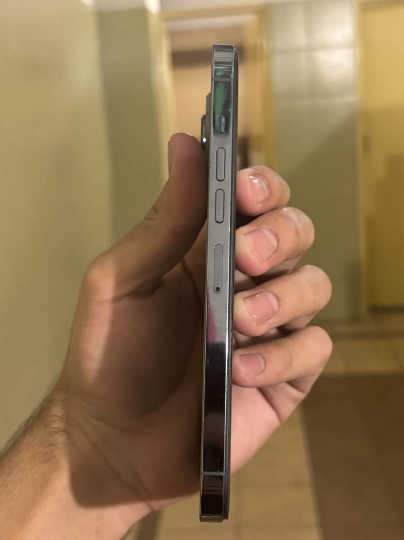 Apple iPhone 13 Pro Max 1