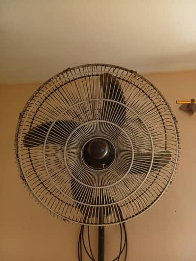 bracket fan
