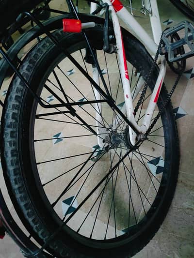 American cycle for sale