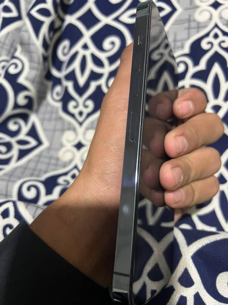 Apple iPhone 13 Pro Max 1