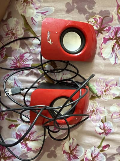Speaker
