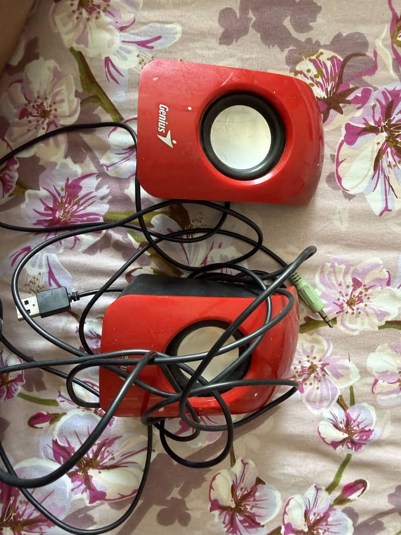 Speaker 0