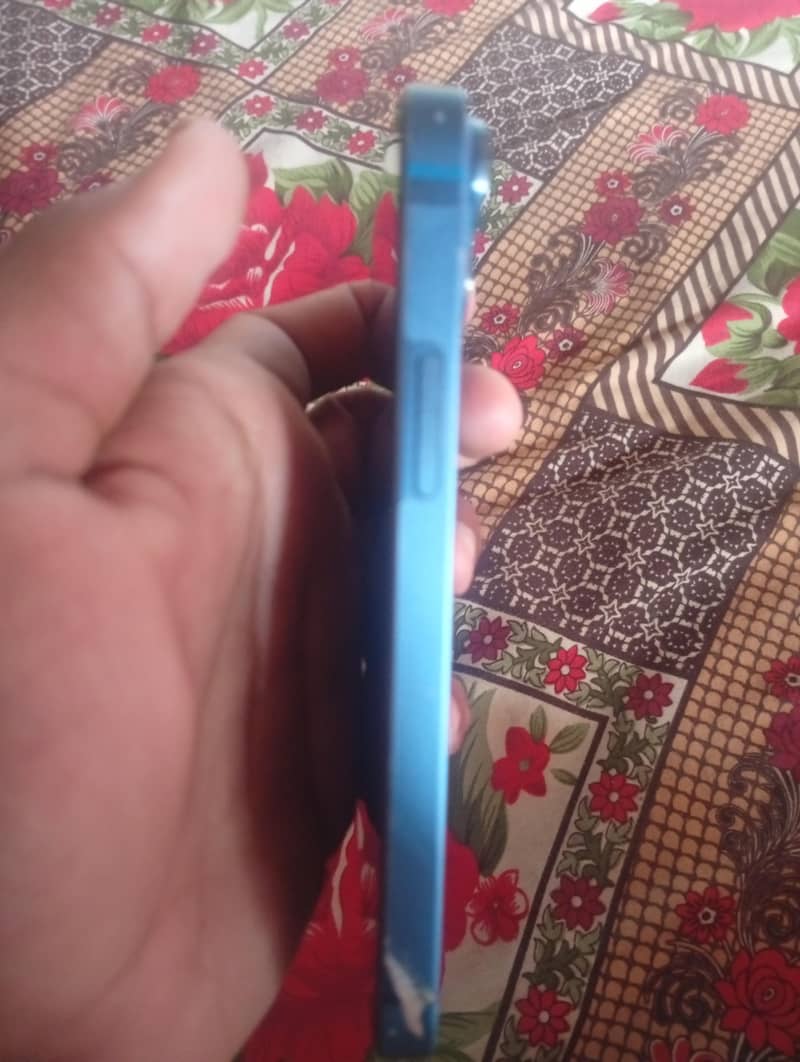 Apple iPhone 13 mini 1