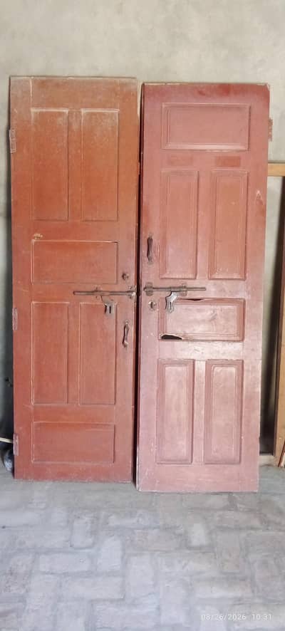 6*4 pure door
