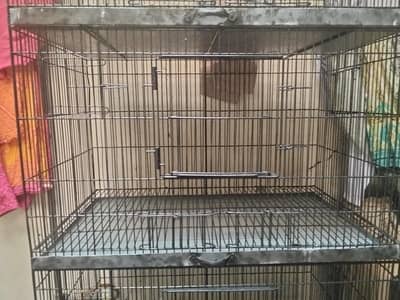 breeder pair