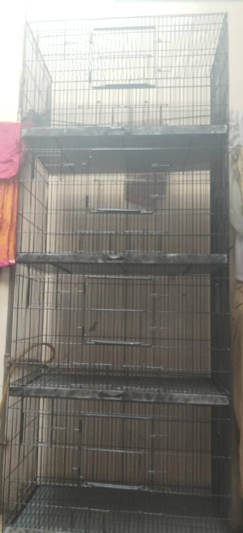 breeder pair 1
