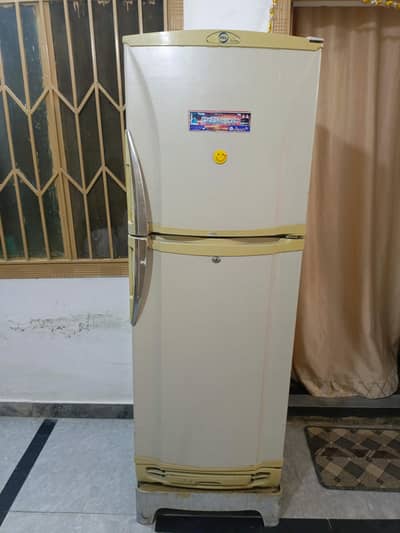 Medium Sized Freezer