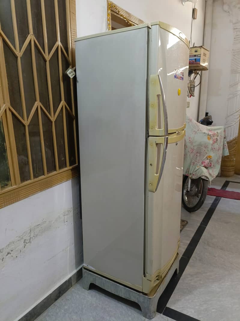 Medium Sized Freezer 1