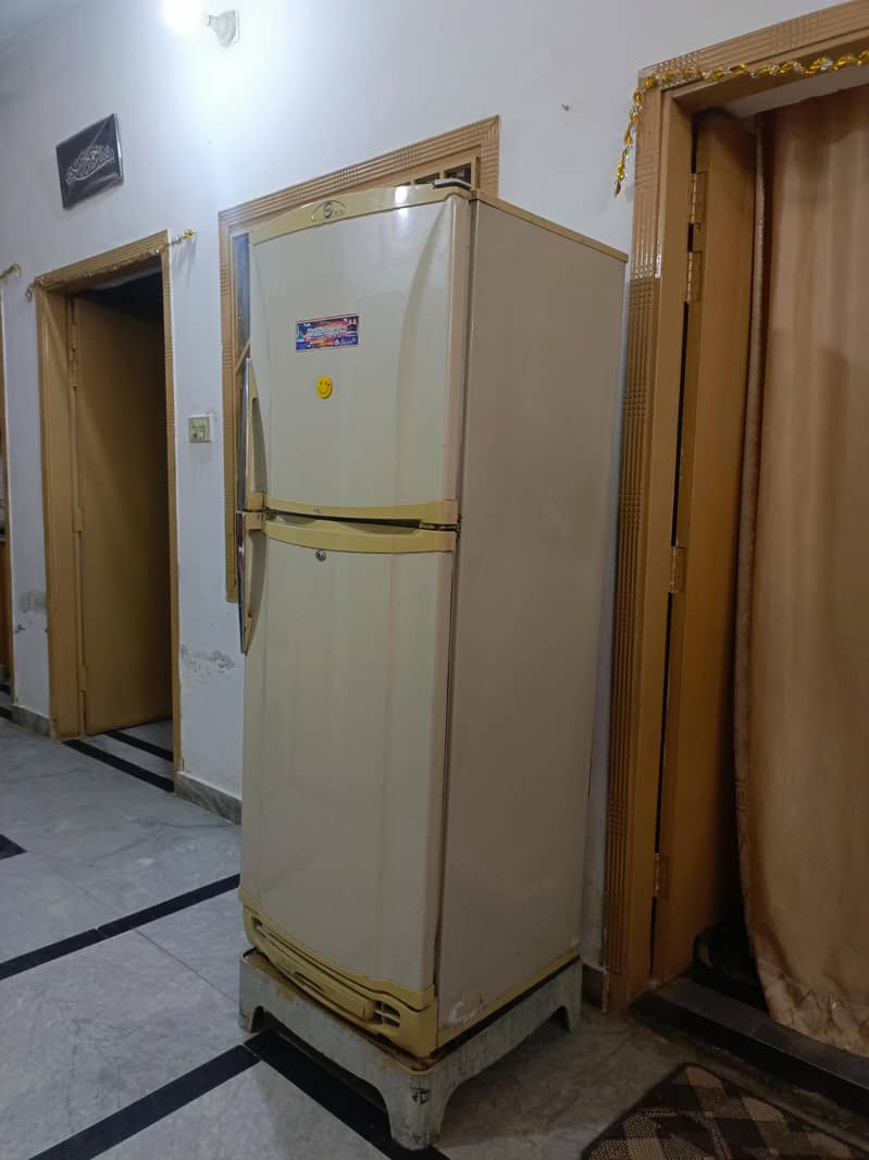 Medium Sized Freezer 2
