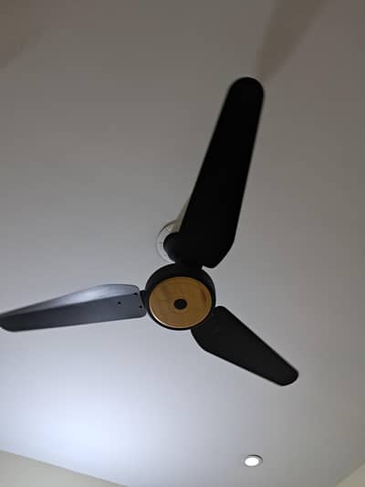 Ceiling Fan for Sale