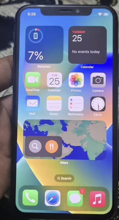 Apple iPhone X