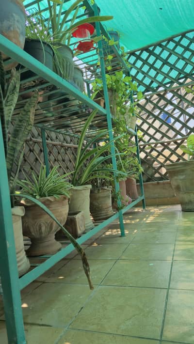 Plant Stand/ Metal Stand/ Planter