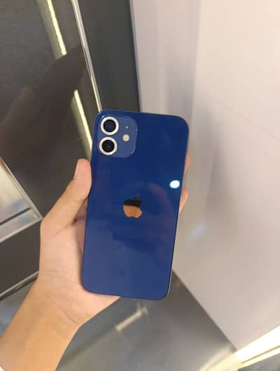 Apple iPhone 12