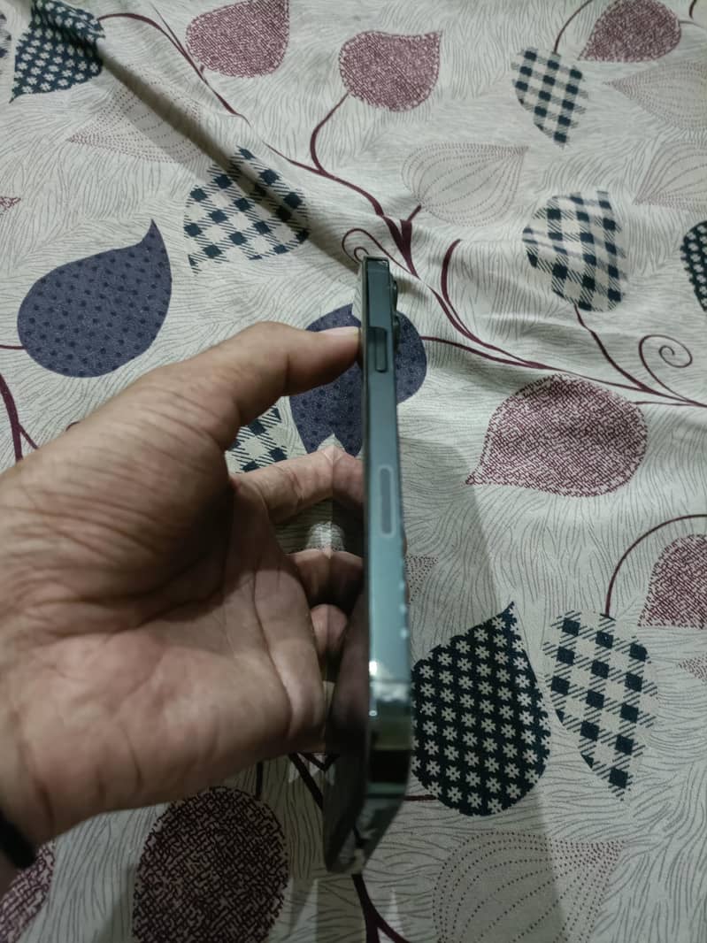 iPhone 13 Pro Max 2